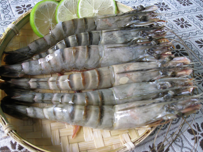 ประโยชน์ของเบทาอีนในอาหารกุ้ง(สุขภาพดี)